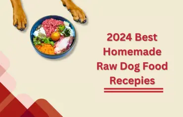 12 Diy Homemade Raw Dog Food Recipes [vet-Approved]
